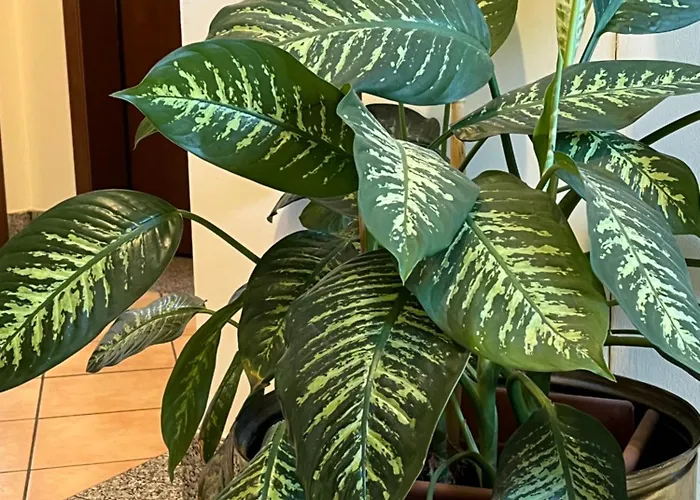 Appartamento Bicerin Torino